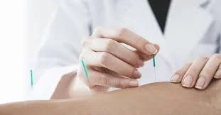 Physio Gym